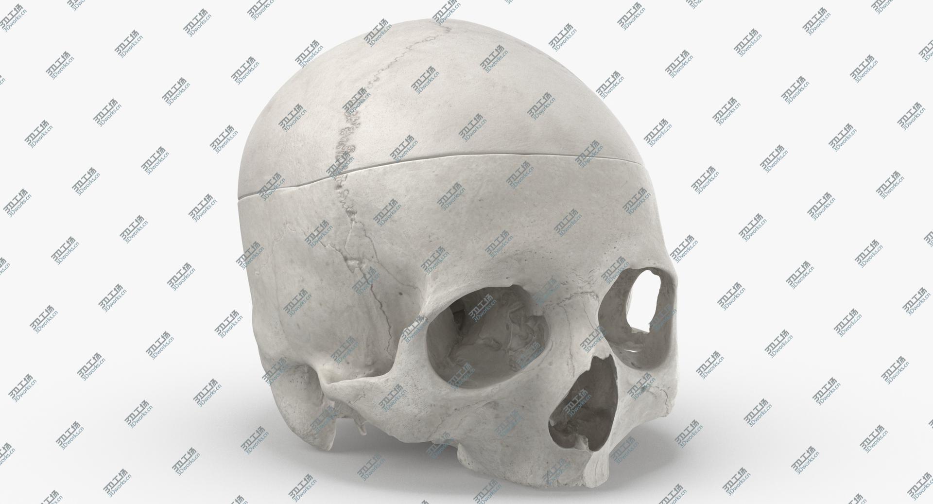images/goods_img/2021040234/Real Human Skull Cranial 02 Cut With Piece White 3D/2.jpg